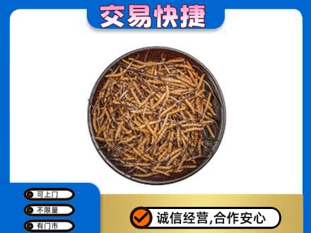 莱芜高价回收散虫草
